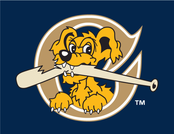 Charleston Riverdogs 2011-2015 Cap Logo v3 iron on transfers for clothing